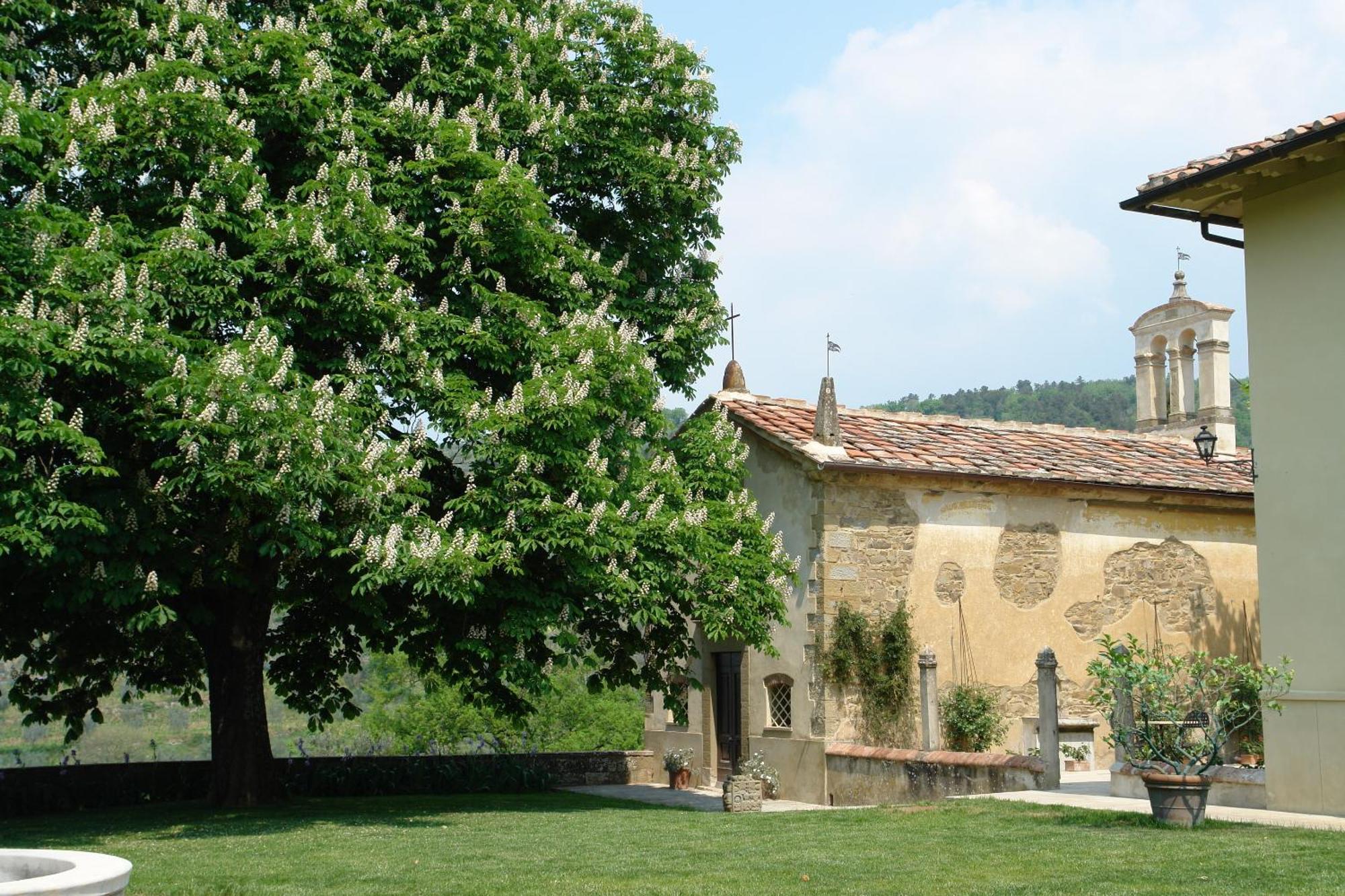 Relais Villa Belpoggio - Residenza D'Epoca Loro Ciuffenna Eksteriør bilde